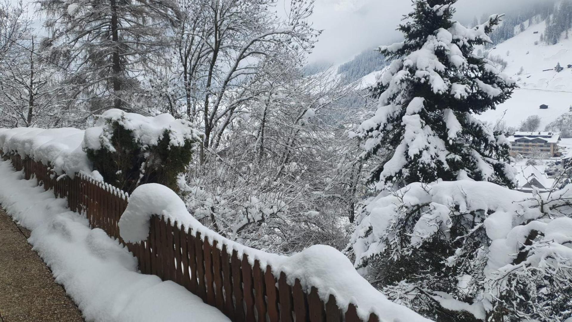 Pension Terra Neustift im Stubaital Εξωτερικό φωτογραφία